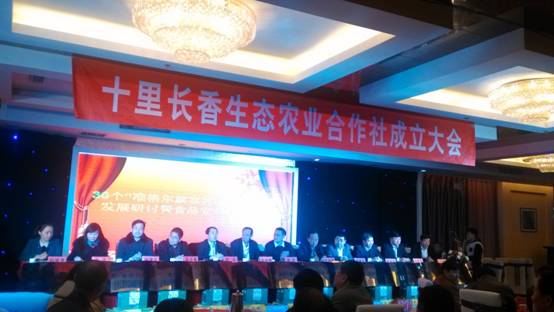 走過十里長川，拉開“十里長香”品牌的序幕